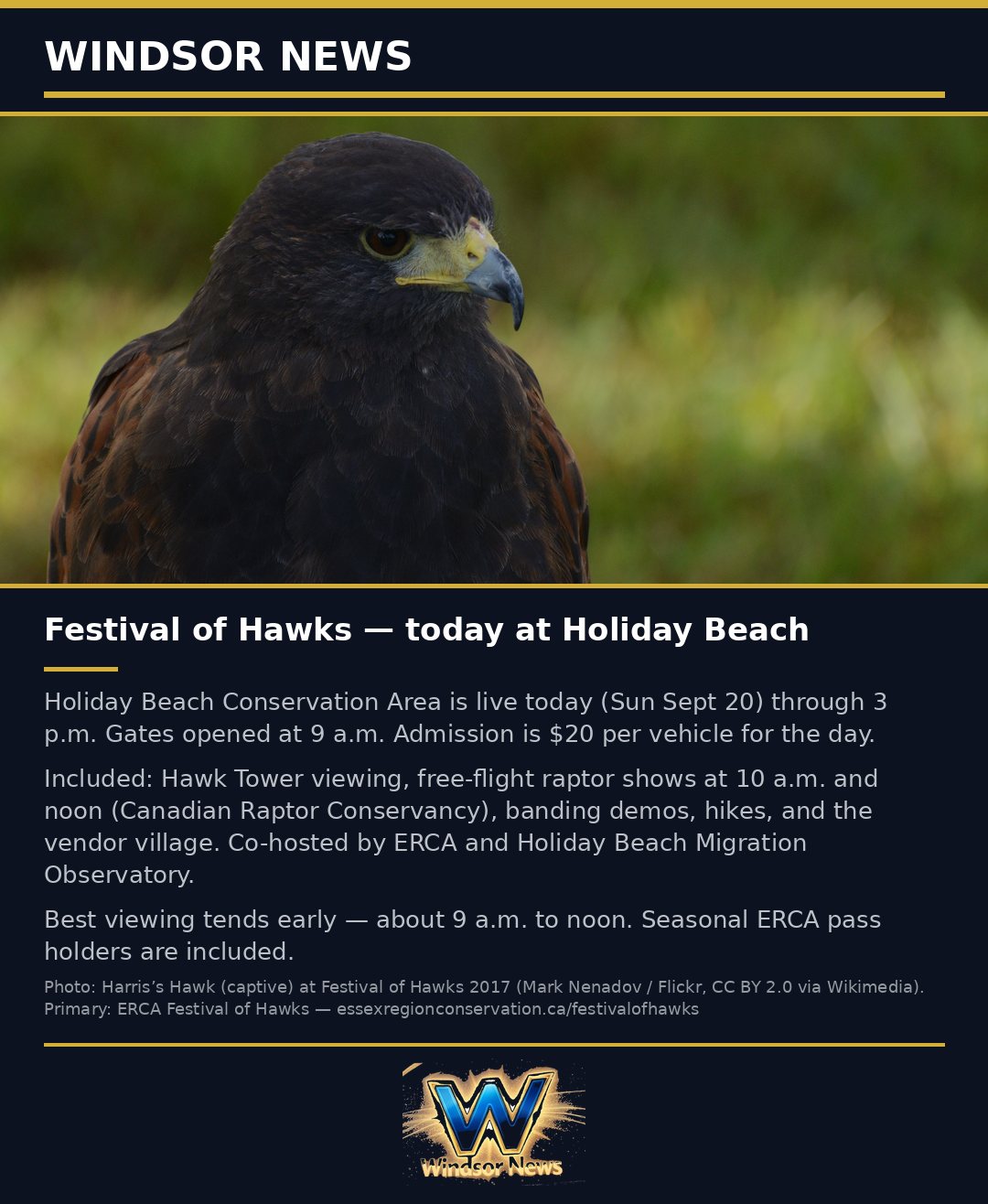Windsor News card: Festival of Hawks at Holiday Beach